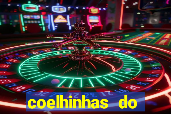 coelhinhas do brasil recife